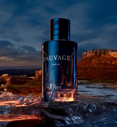 best dior sauvage|dior sauvage cheapest.